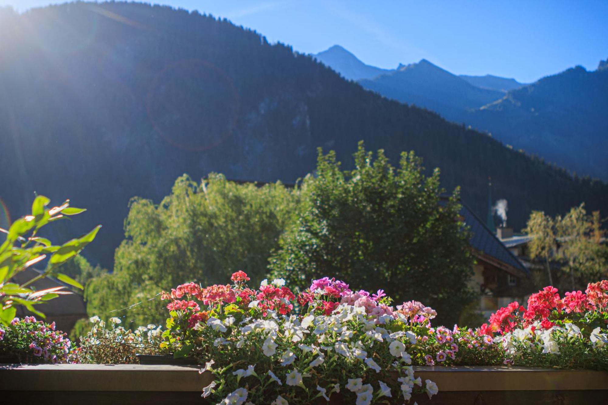 Carla 3* Mayrhofen